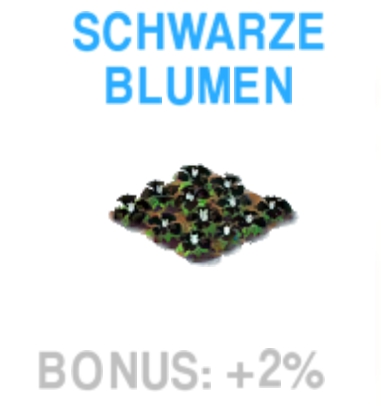 Schwarze Blumen        